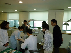 P1070148-thumb-250x187